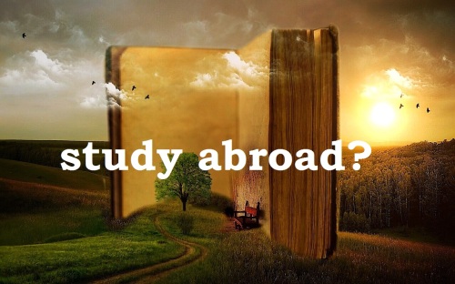 study abroad myths